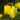 Armaf Odyssey Limoni - foto 3