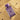 Riiffs Goodness Oud Purple Wave