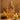 Orientica Luxury Collection Royal Amber