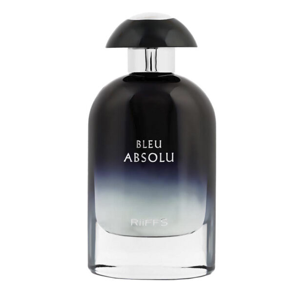 Bleu Absolu Eau de Parfum - 100ml - Perfume Masculino - RIIFFS - Image 2